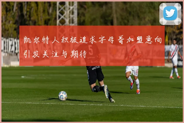 凯尔特人积极追求字母哥加盟意向引发关注与期待